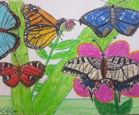 No. 96 Butterflies- the harbingers of spring
